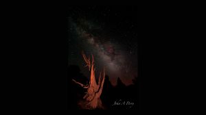 Milky Way and Bristlecone Pine